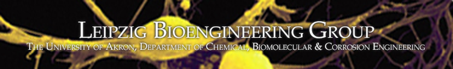 Leipzig Bioengineering Group